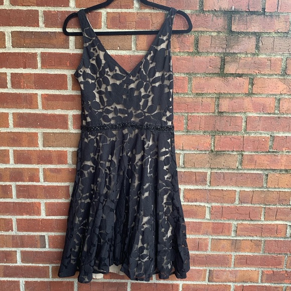 Z Spoke by Zac Posen Dresses Z Spoke By Zac Posen Lace Fit And